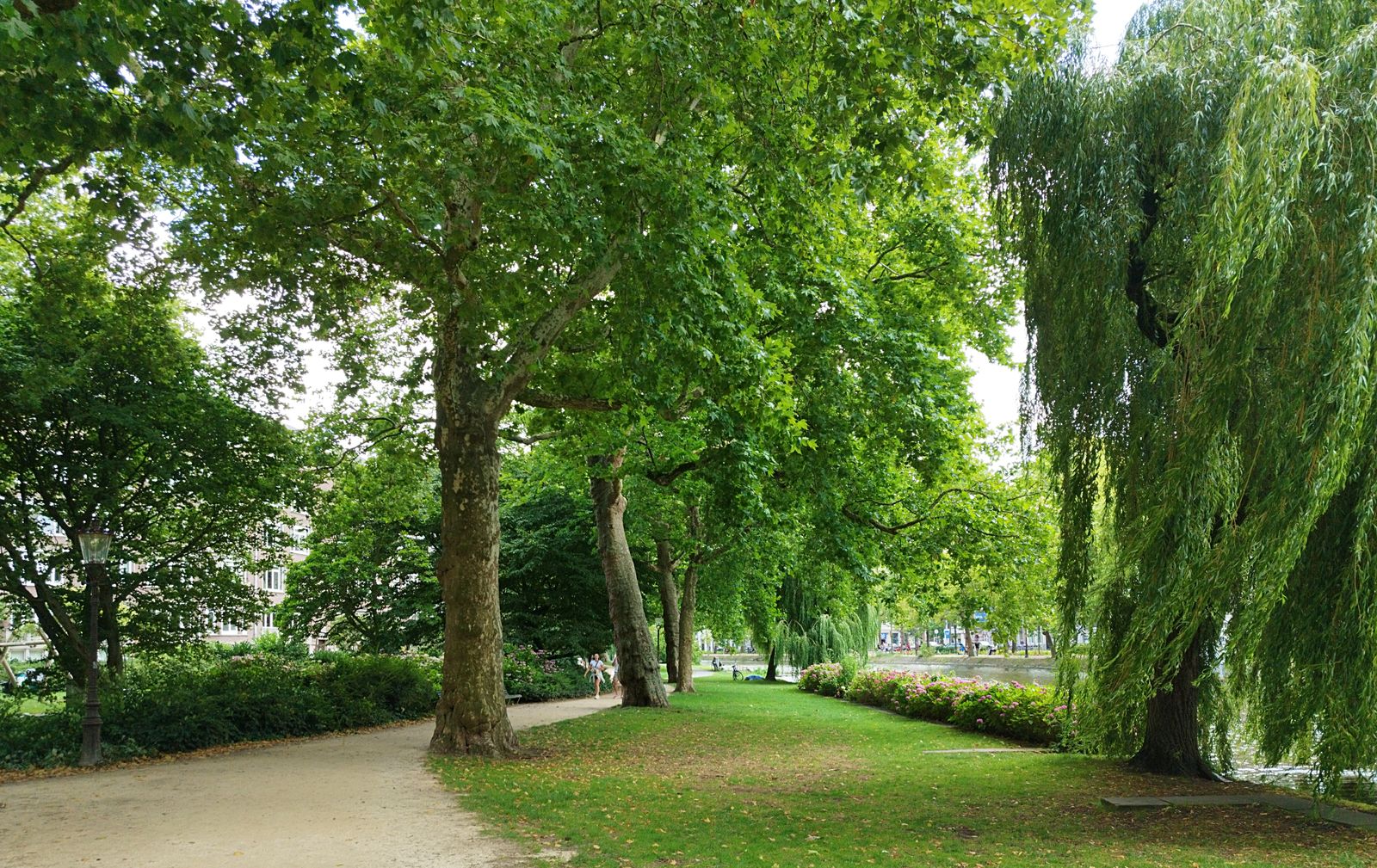 Dublin City